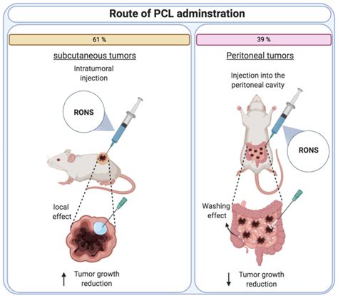 Intraperitoneal Injection Human