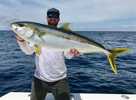 Long Beach Fishing Charter Yellowtail - All About Fishing