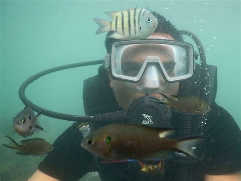 Scuba Diving at Rs 2800/person in Goa | ID: 14458153433