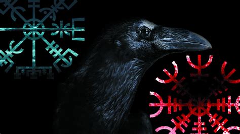 Vegvísir, Crow, Aegishjalmur, Vikings HD Wallpapers / Desktop and ...