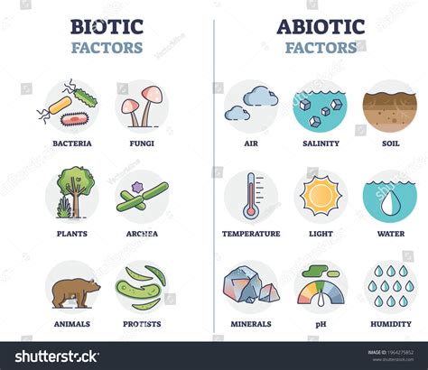 34 Ecosystem Abiotic And Biotic Images, Stock Photos & Vectors ...