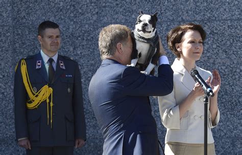 Lennu, the 'First Dog' of Finland, is a very good boy The Poke