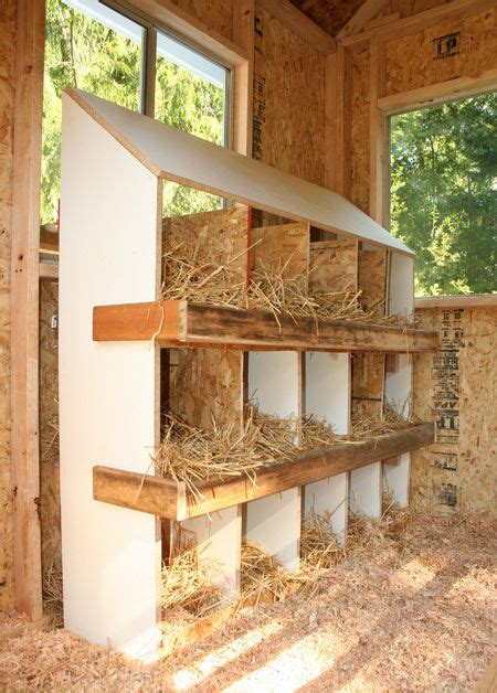 Nesting Box | Chickens | Pinterest