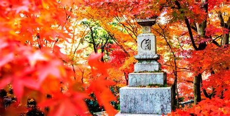 Autumnal Equinox Day in Japan in 2020 | Office Holidays