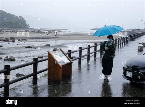 Yoshino-Kumano National Park, japan, 2022/01/05 , the Yoshino-Kumano ...