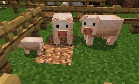 Minecraft animals resource packs - klosports