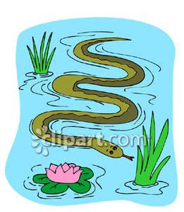 Water snake clipart 20 free Cliparts | Download images on Clipground 2024