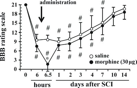 Effects of a single dose of intrathecal (IT) morphine on residual... | Download Scientific Diagram