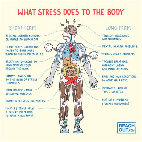 What does stress do to the body? | ReachOut Australia | ReachOut Australia