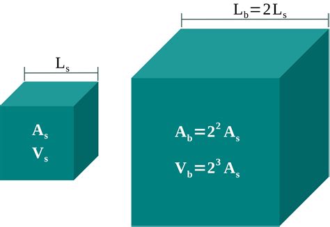 Square-Cube Law. Relationship between lengths, areas and volumes ...