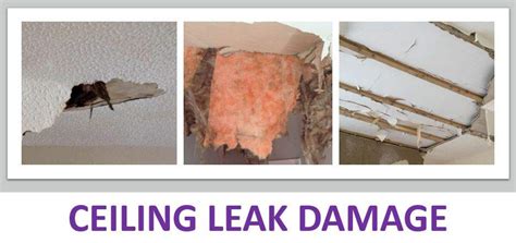 Ceiling Leak - Main Causes & Risks