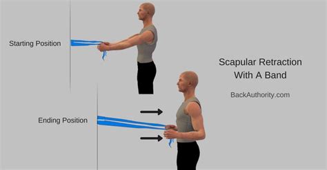 Scapular Retraction with a Band | Shoulder posture, Fix rounded shoulders, Exercise