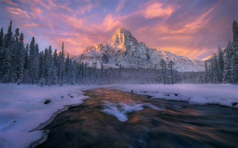 Canada, Alberta, Banff national Park, winter, forest, river, stream, snow wallpaper | nature and ...