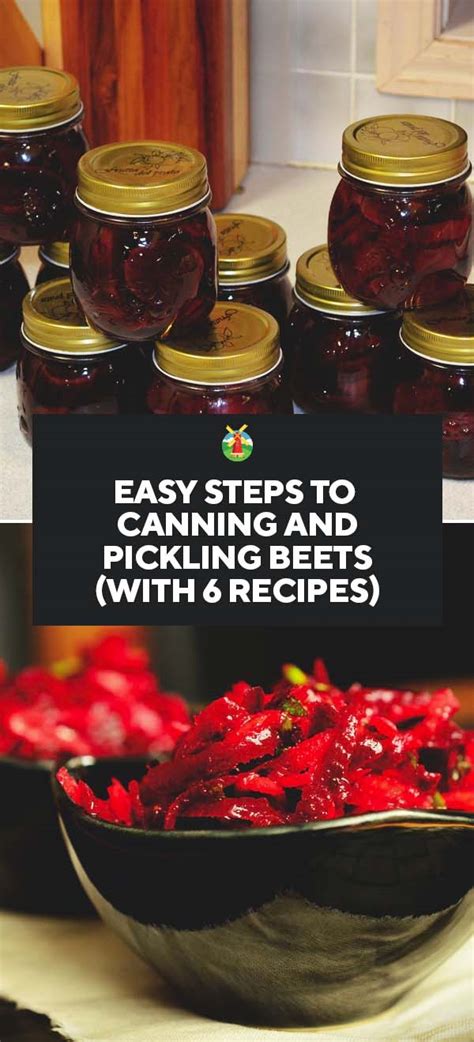 Canning and Pickling Beets - 6 Recipes Worth Trying