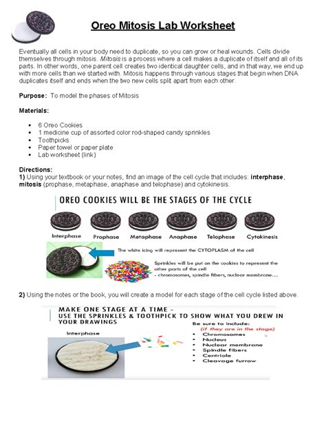 Oreo Mitosis Lab - sdsd - Oreo Mitosis Lab Worksheet Eventually all cells in your body need to ...