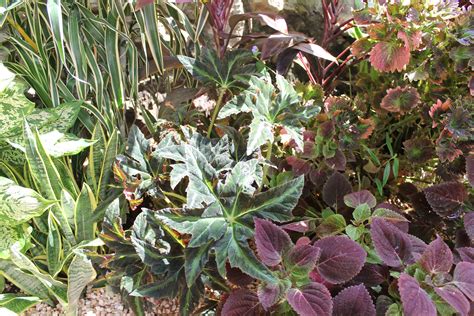 Tropical foliage | Tropical foliage, Foliage, Interior design inspiration