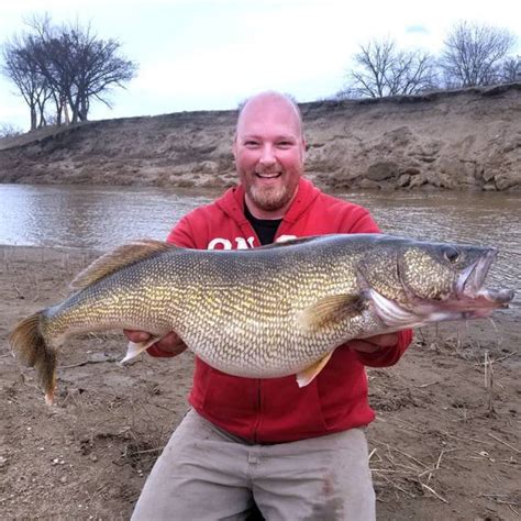 Massive walleye catch sets record, but how long will it last?