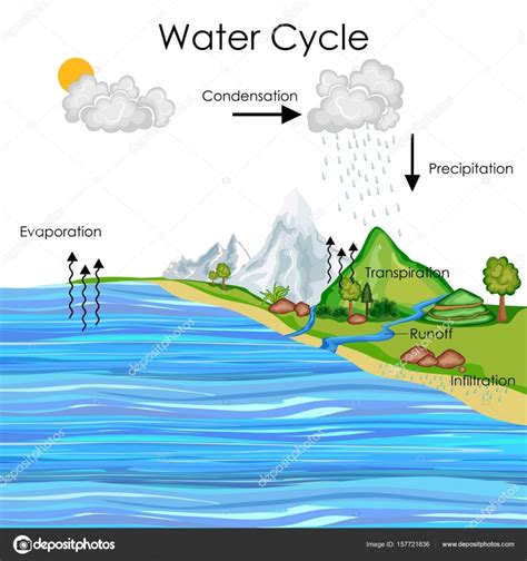 Water Energy Diagram For Kids