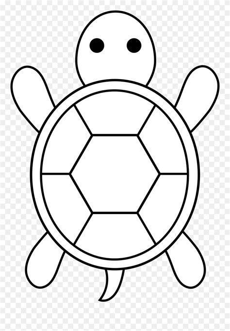 Cartoon Sea Turtle Drawing Clipart (#5506669) - PinClipart