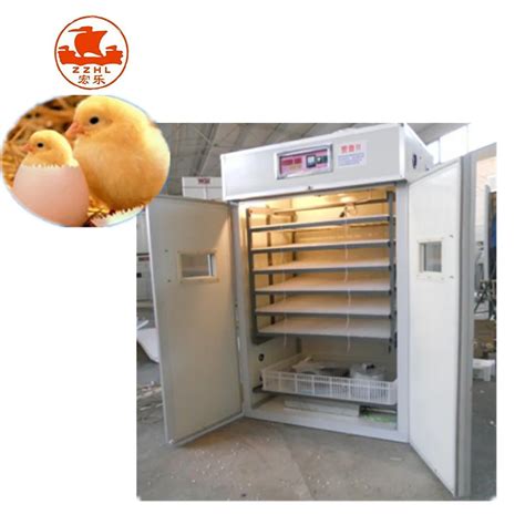 Quail Egg Incubator 0086-15514501052 - Buy Quail Egg Incubator,Egg ...