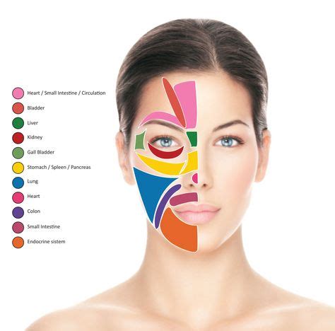 Acne Body Mapping Zones (With images) | Refleksologia, Akupunktura, Uroda