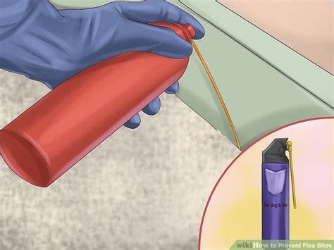 How to Prevent Flea Bites (with Pictures) - wikiHow