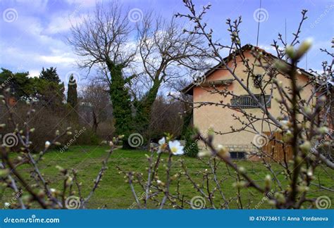 Spring farm house stock image. Image of meadow, farm - 47673461