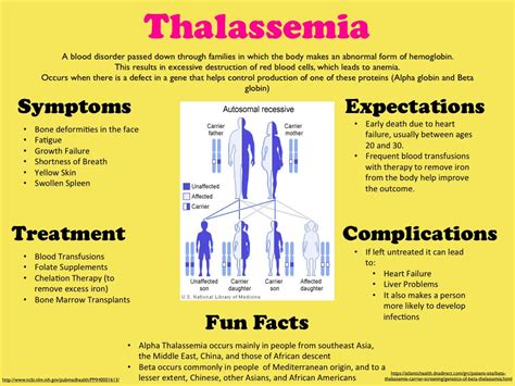 Thalassemia Awareness | Food & Health | PiTribe