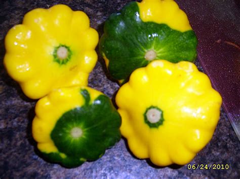 (Never) Too Many Cooks: Stuffed pattypan squash