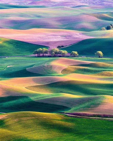 The hills of Palouse, Washington | Palouse, Palouse washington, Scenic