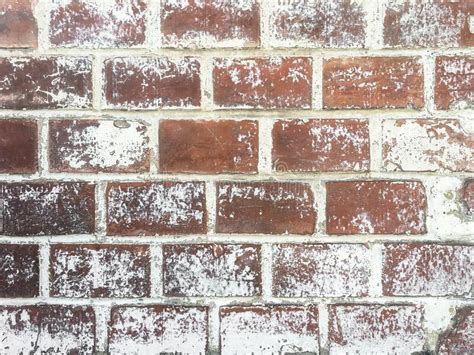 Red color brick wall stock image. Image of brick, ordinary - 268335299