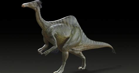 Mystery solved: monster dinosaur had 8-foot arms, weighed 14,000 pounds