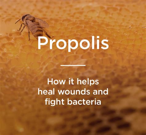 Propolis: Benefits, Uses, and More