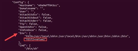 How to Set Docker Environment Variables {ARG and ENV}