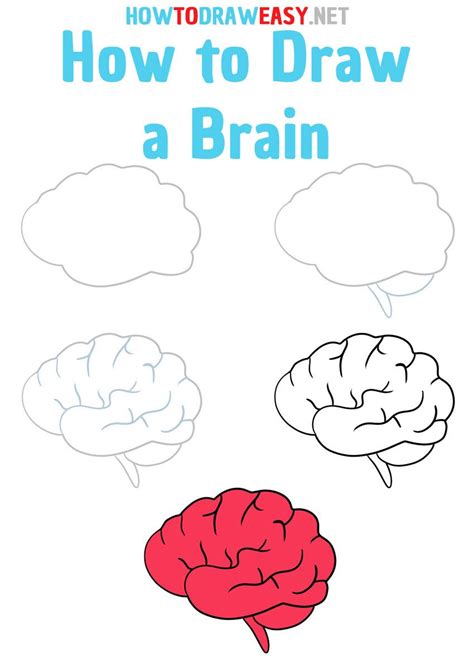 How to Draw a Brain Step by Step | Brain drawing, Easy drawings ...