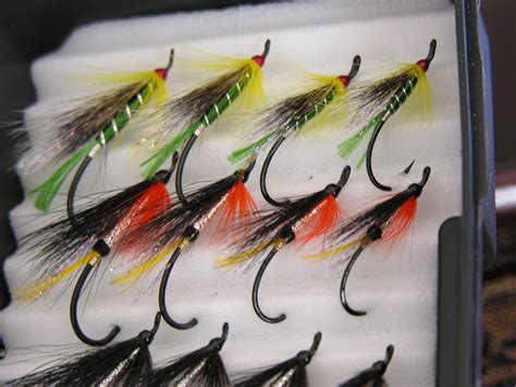 Low water hairwing salmon flies. | Fly fishing flies pattern, Fly tying patterns, Steelhead flies