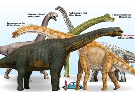 Titanosaur | Dr. Neurosaurus