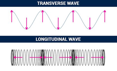 Types of Waves | Types of waves, Longitudinal wave, Waves