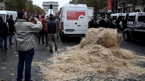 Farmers protest in French cities over falling prices