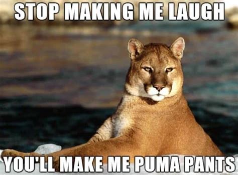 Funniest Puns In The History Of The Internet