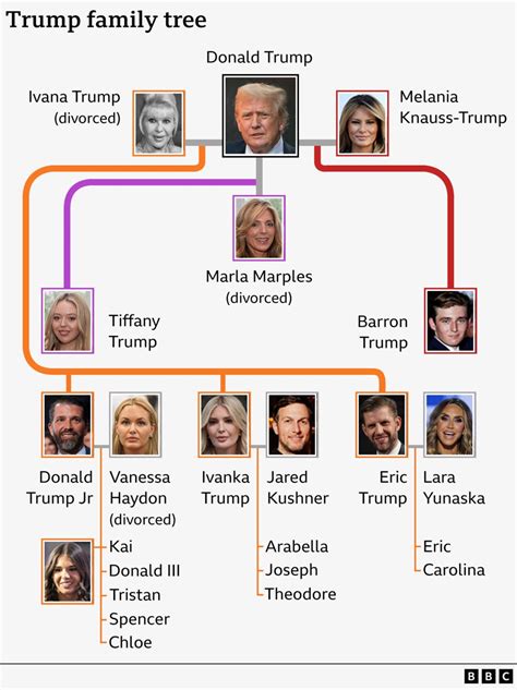 Trump family: a guide to an American dynasty - BBC News