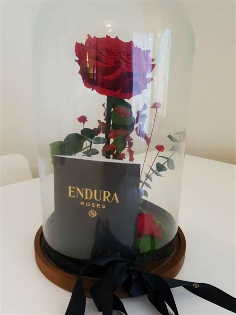 Endura Roses Forever Rose Large | eBay