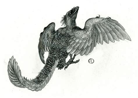 Archaeopteryx by SaurArch on DeviantArt