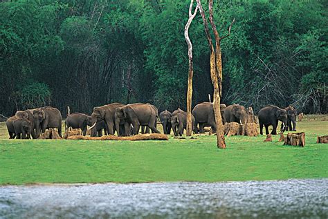 Chinnar Wildlife Sanctuary, Idukki - Paperblog