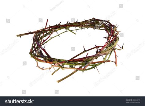 A Bloody Crown Of Thorns Representative Of The Crown Christ Wore At His ...