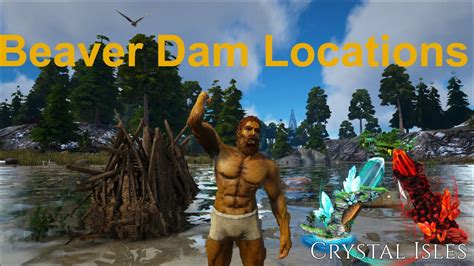 Beaver Dams And Beaver Locations l Official Crystal Isles - YouTube