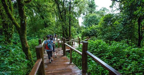 Doi Inthanon National Park - Klook