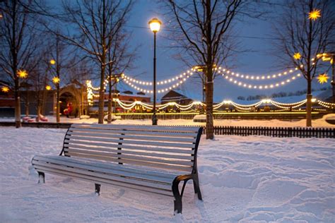 Empty Brench In A Winter Park Stock Photo - Image of december, blue: 178234172