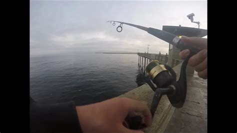 Ocean Beach Pier Fishing Bonito!