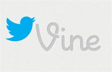 Has Vine Become More Popular Than Instagram? | Complex